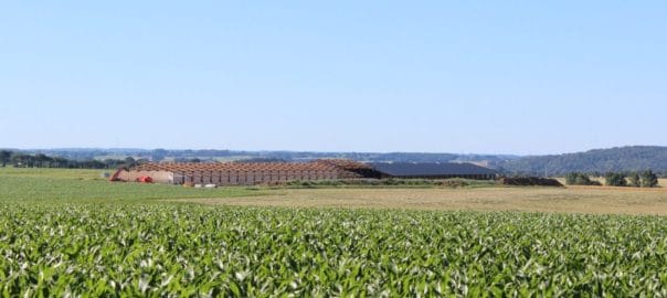 Les œufs de Botjelan à Pluméliau T. RUELLAN 62 604x270